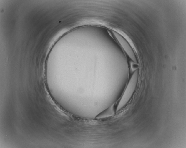 X0000081610815200702121613