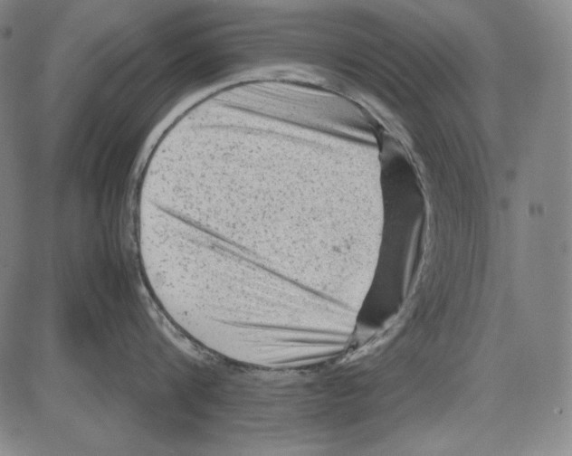 X0000081610816200702121613