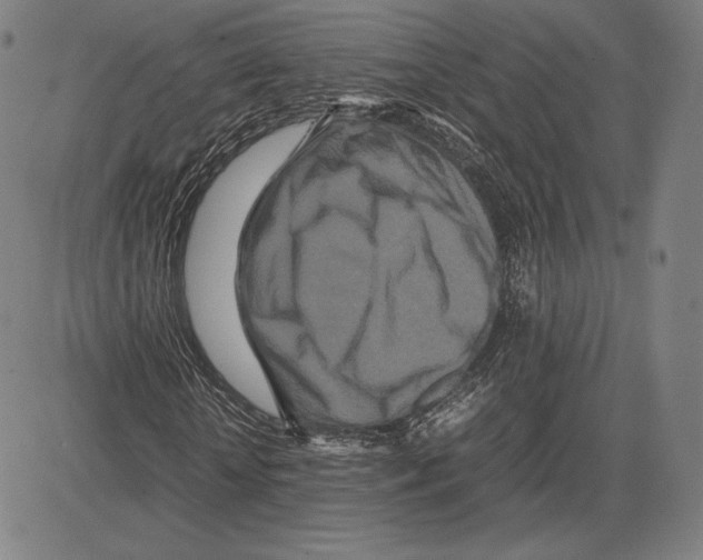 X0000081610818200702121612