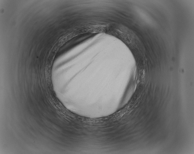 X0000081610819200702121612