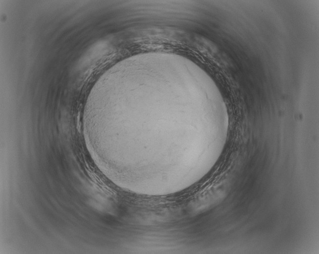 X0000081610820200702121612