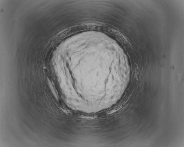 X0000081610821200702121612