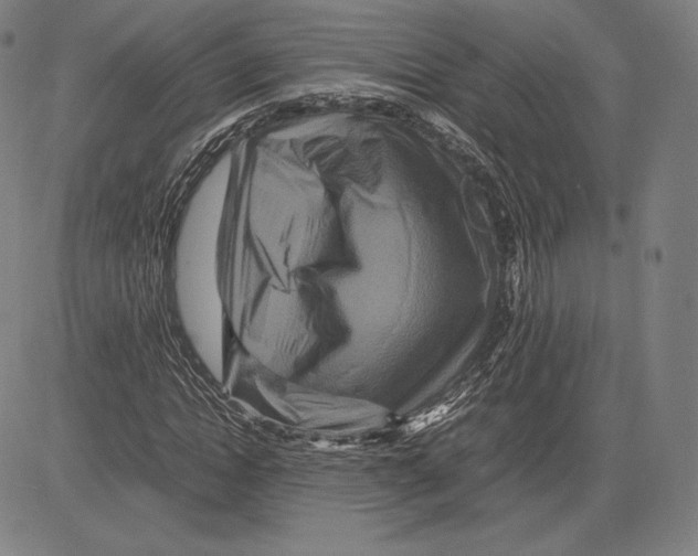 X0000081610822200702121612