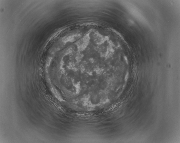 X0000081610823200702121612