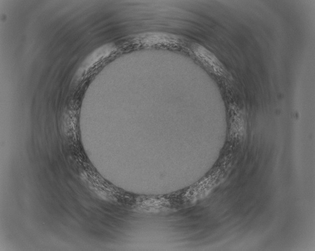 X0000081610824200702121612