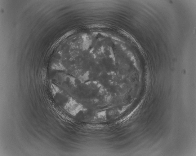 X0000081610825200702121612