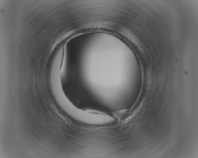 X0000081610826200702121612