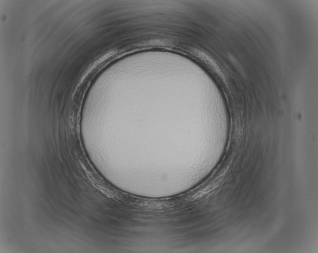 X0000081610827200702121612