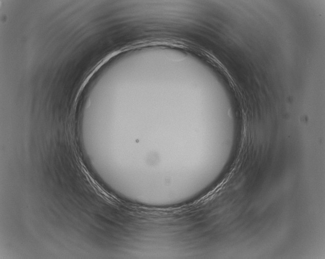 X0000081610828200702121612