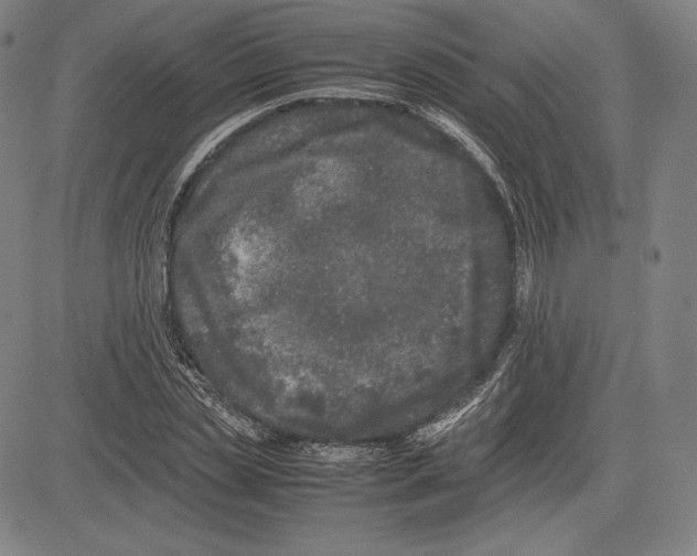 X0000081610829200702121612