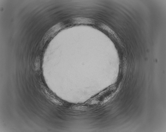 X0000081610833200702121612