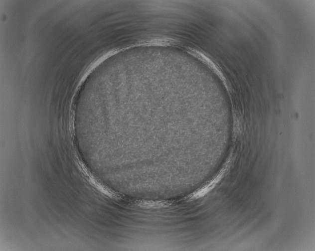 X0000081610835200702121612