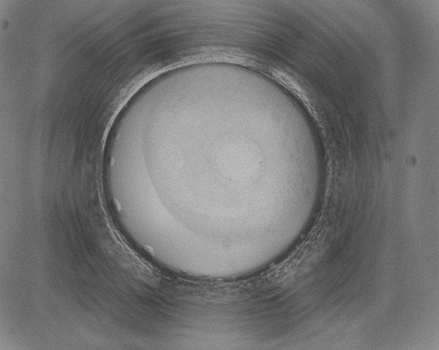 X0000081610836200702121612