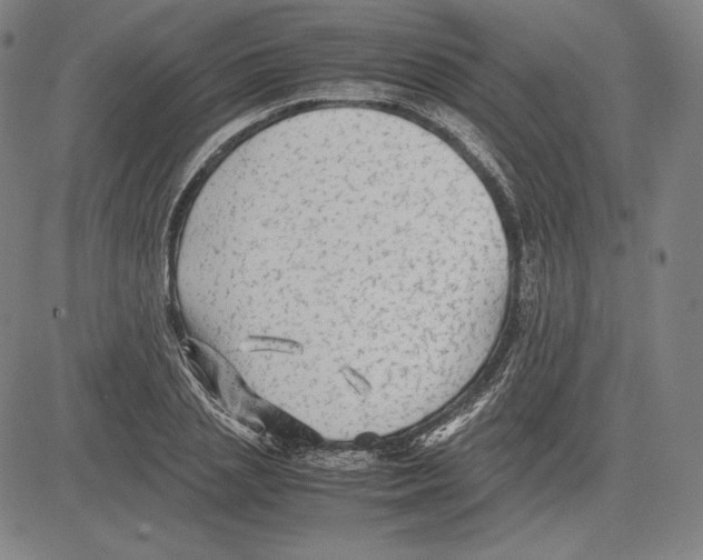 X0000081610837200702121612