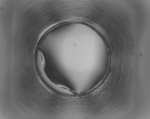 X0000081610838200702121612