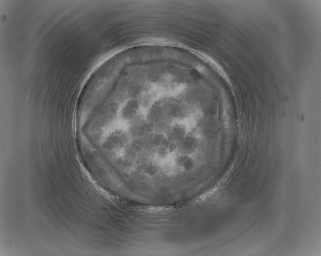 X0000081610839200702121613