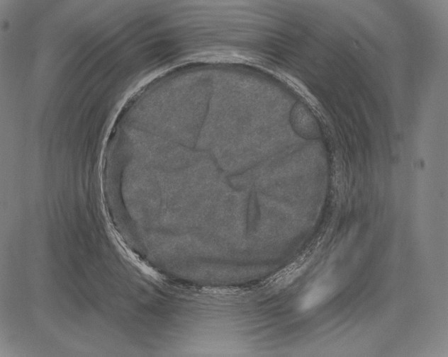 X0000081610840200702121613