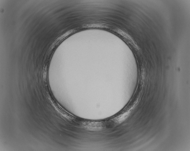 X0000081610841200702121613