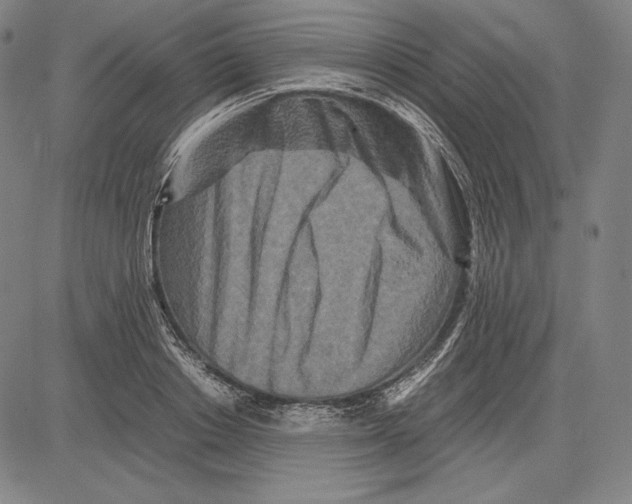 X0000081610842200702121613