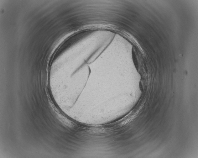 X0000081610844200702121613