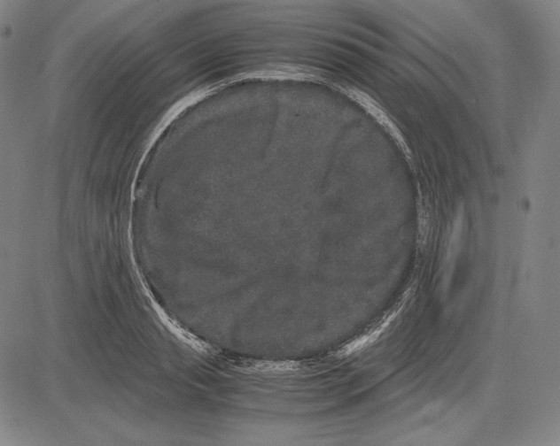 X0000081610845200702121613