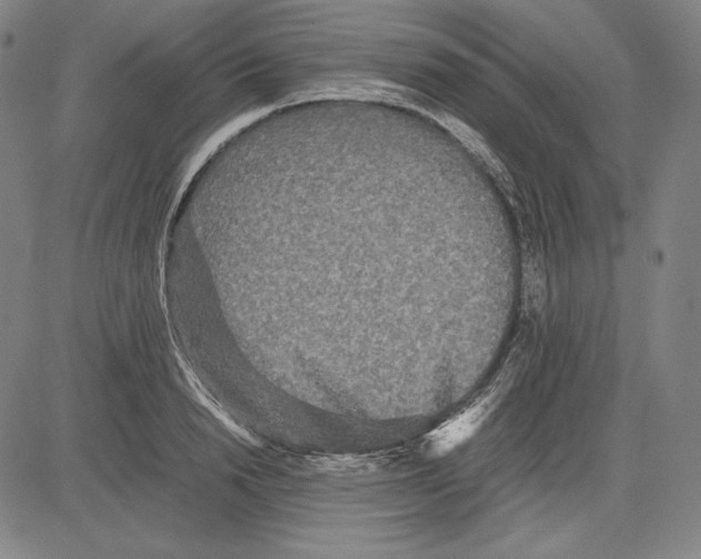 X0000081610846200702121613