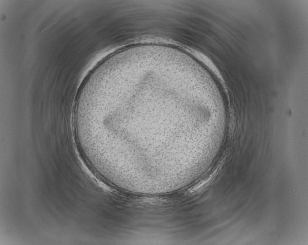 X0000081610847200702121613