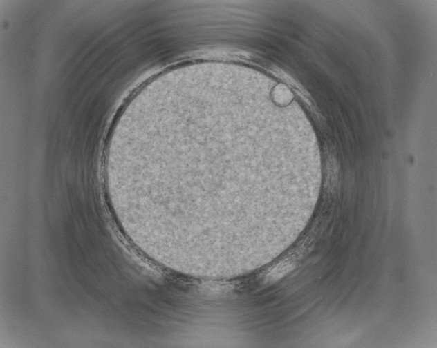 X0000081610848200702121613