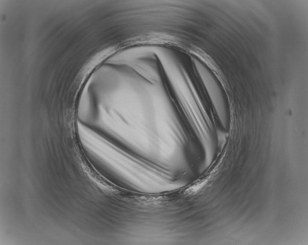 X0000081610850200702121613