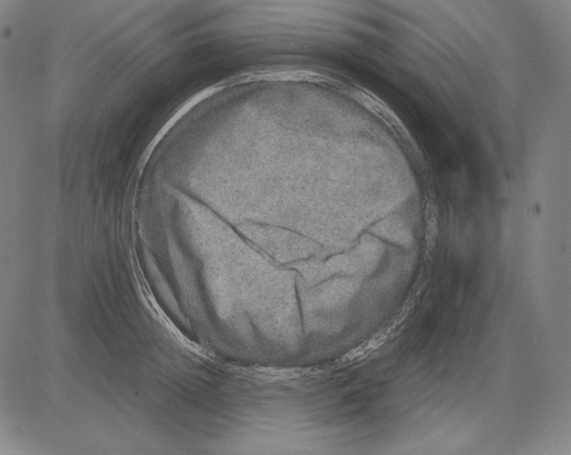 X0000081610852200702121613