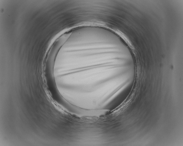 X0000081610854200702121613