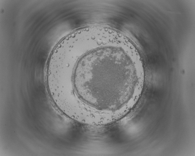 X0000081610856200702121613