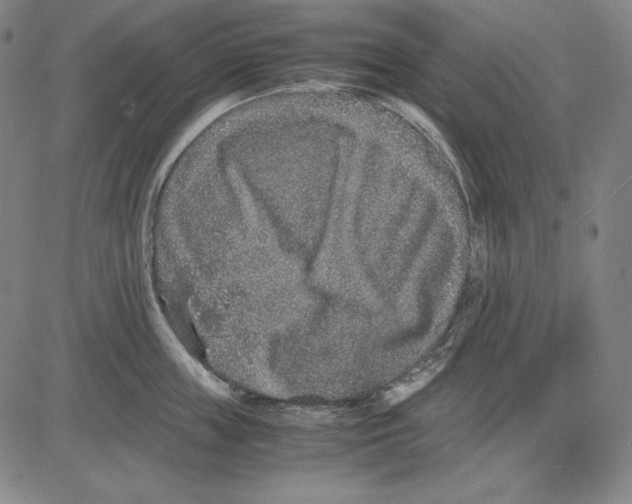 X0000081610859200702121613