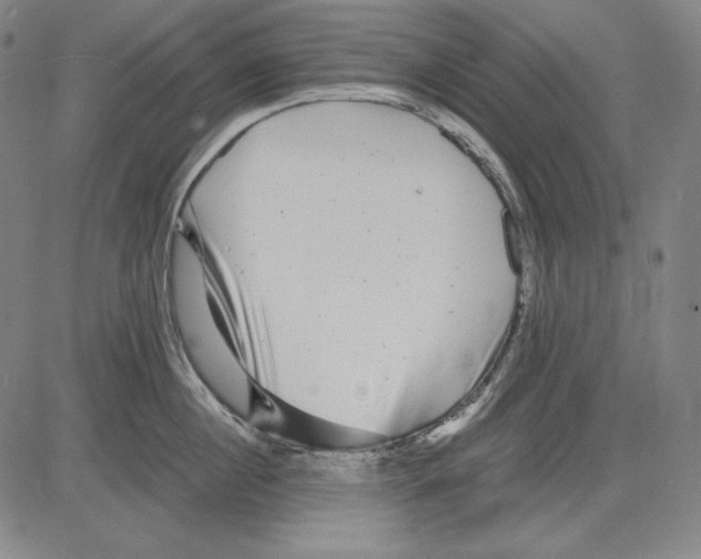 X0000081610860200702121613