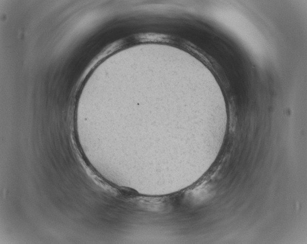 X0000081610861200702121613