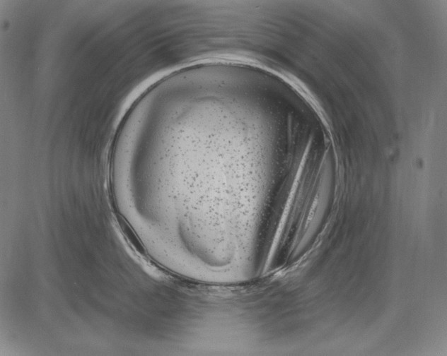 X0000081610862200702121613