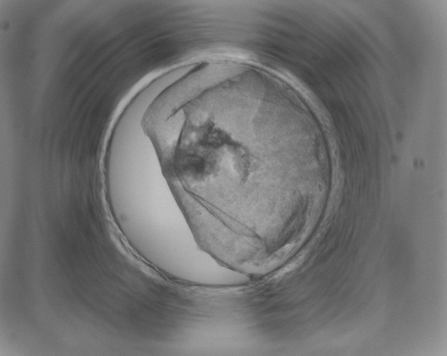 X0000081610864200702121613