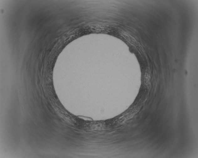 X0000081610865200702121612