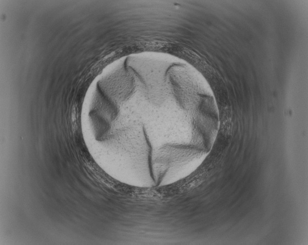 X0000081610866200702121612