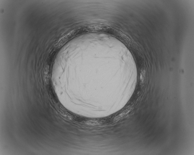 X0000081610867200702121612