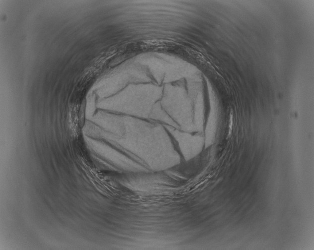 X0000081610868200702121612