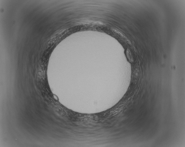 X0000081610869200702121612