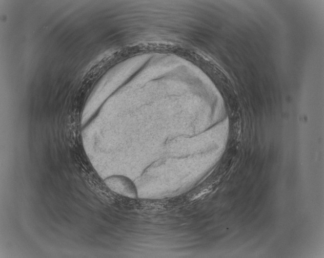 X0000081610870200702121612