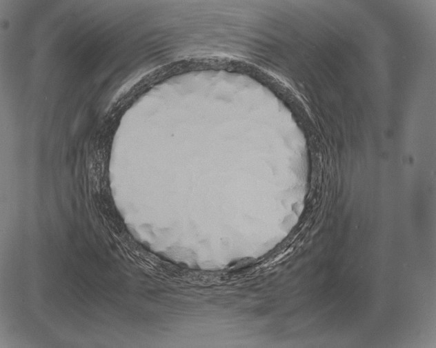 X0000081610871200702121612