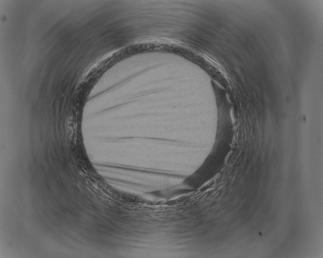 X0000081610872200702121612