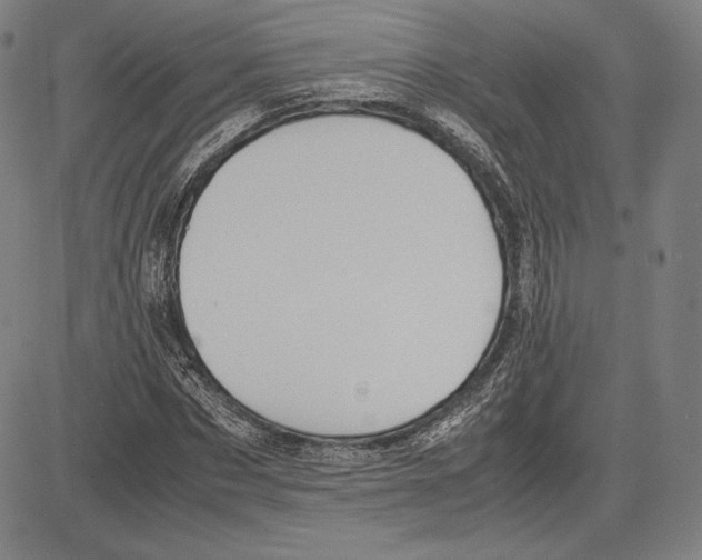 X0000081610873200702121612