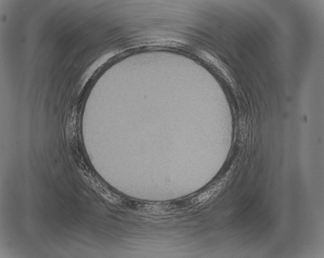 X0000081610875200702121612