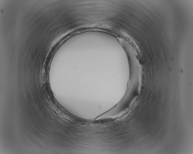 X0000081610876200702121612