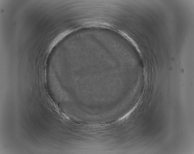 X0000081610877200702121612