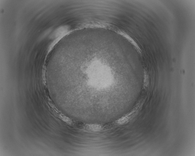 X0000081610878200702121612